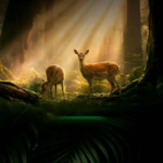 Tilal Binghatti family villas with green park access