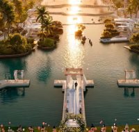 A beautiful tropical oasis at DAMAC Islands featuring a boardwalk, palm trees, and clear water.