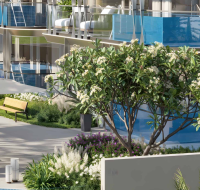 Outdoor lounge area with flowering trees, sun loungers, and pool.