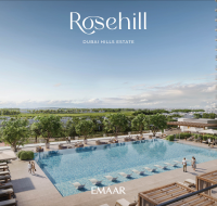 Outdoor adult pool surrounded by sun loungers and palm trees in a peaceful setting